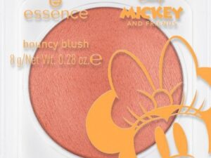 essence Disney Mickey and Friends boun