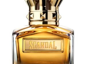 Tester , Jean Paul Gaultier Absolu , PARFUM , 100 ml